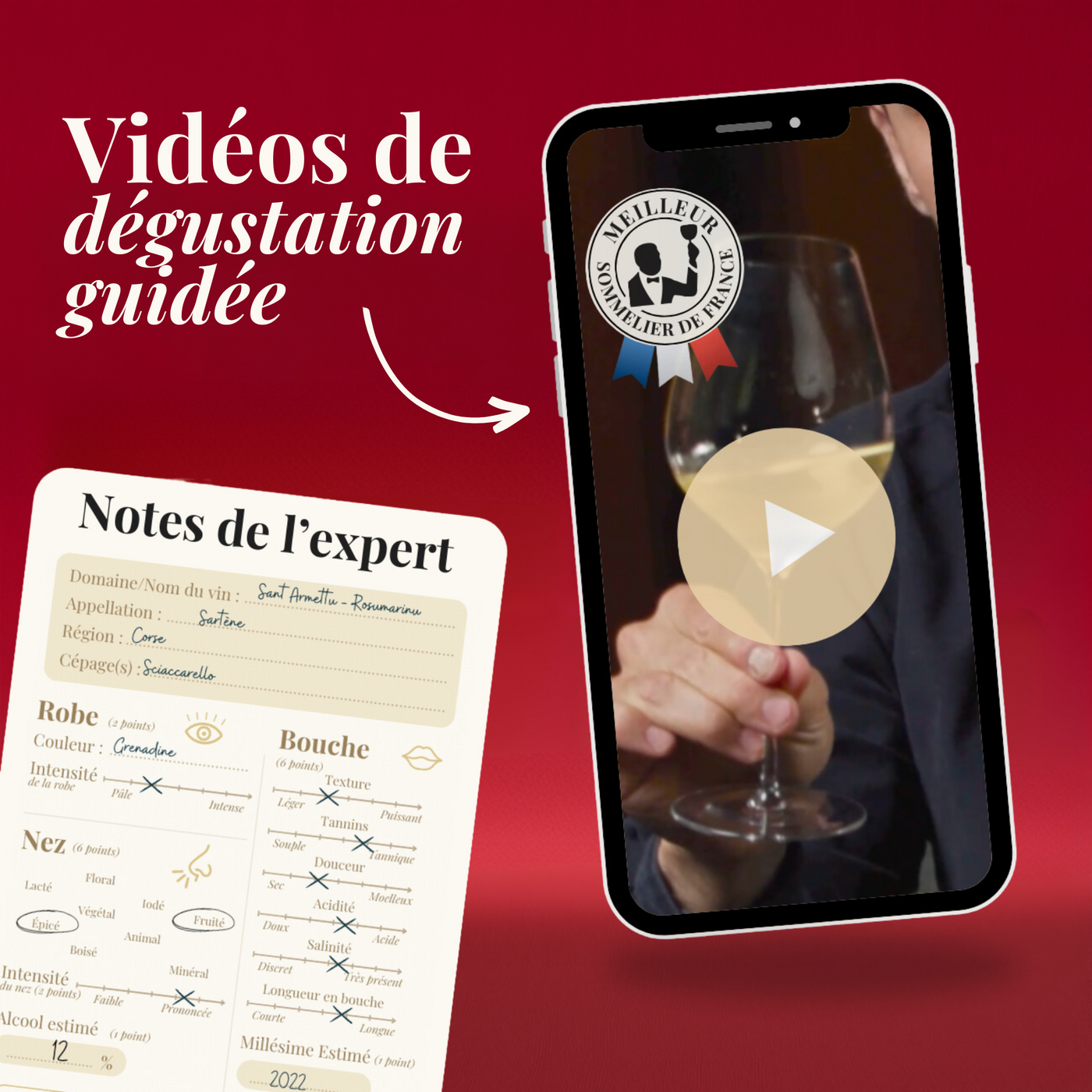 Wine Advent Calendar - 24 Wines from France and the World